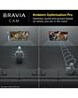 Sony CMUBC1_CE7 Bravia Web Cam