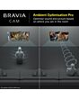 Sony CMUBC1_CE7 Bravia Web Cam