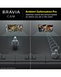 Sony CMUBC1_CE7 Bravia Web Cam