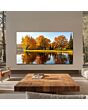 TCL 75C8L-UK 75inch 4K Ultra HD SQD-Mini LED Google TV