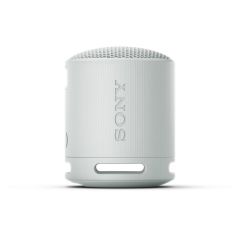 Sony SRSXB100H_CE7 Bluetooth Wireless Speaker